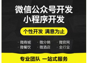 系統軟件、應用軟件、網站開發等 微信網站+微信公眾號