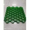 HDPE4公分植草格/山東闊展工程材料