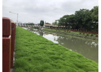 綠化混凝土_生態混凝土_植被混凝土_植生砼_生物基質混凝土