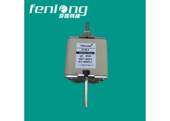 RS33快速熔斷器訂做-芬隆品牌