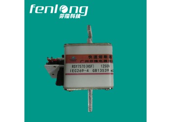 RS39快速熔斷器訂做-芬隆品牌