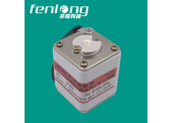 RSF-5PK半導體平板式快速熔斷器訂做-芬隆品牌
