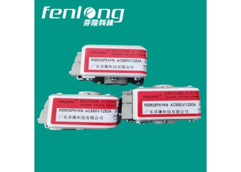 RSM01MZ110TN快速熔斷器-FENLONG芬隆品牌