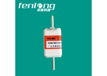 RSM20Z78熔斷器訂做