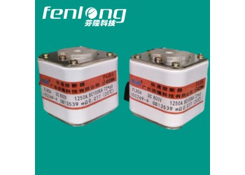 RSM01P75KN快速熔斷器-FENLONG芬隆品牌