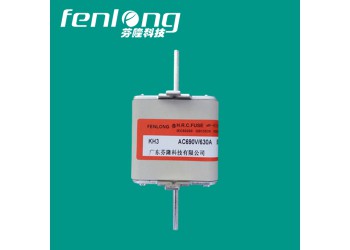 RSM01MZ110TN快速熔斷器訂做
