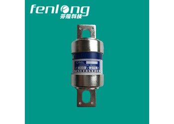 JR66凳子腳快速熔斷器訂做-芬隆fenlong品牌