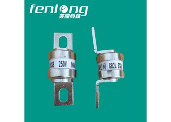 JR31凳子腳快速熔斷器訂做-芬隆fenlong品牌