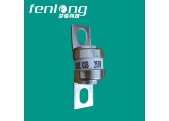 RGS11凳子腳快速熔斷器訂做-芬隆fenlong品牌