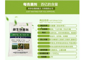 復合型功能菌防蟲專用翅目類根結線蟲