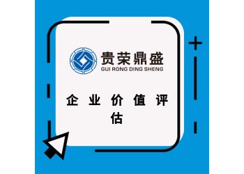 北京市企業(yè)股權(quán)評估企業(yè)價值評估破產(chǎn)清算評估