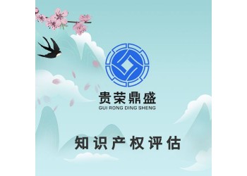 沈陽市非專利技術(shù)評估專利商標(biāo)版權(quán)評估無形資產(chǎn)評估