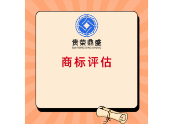 泰州市商標(biāo)品牌評(píng)估芯片軟件資產(chǎn)評(píng)估知識(shí)產(chǎn)權(quán)評(píng)估