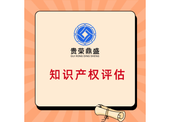 江西省贛州市商業(yè)秘密評(píng)估專有技術(shù)評(píng)估企業(yè)家價(jià)值評(píng)估