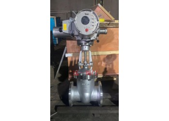 2205、2507雙相鋼電動閘閥、雙相不銹鋼電動閘閥