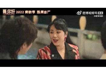 哥你好什么時(shí)候上映?還有份額投資嗎?