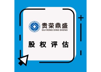 河南省鄭州市企業(yè)價值評估整體評估凈資產(chǎn)評估