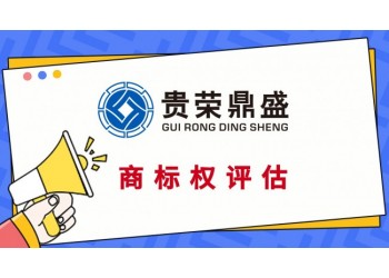 湖北省武漢市專利評估公司無形資產(chǎn)怎么評估電影版權評估