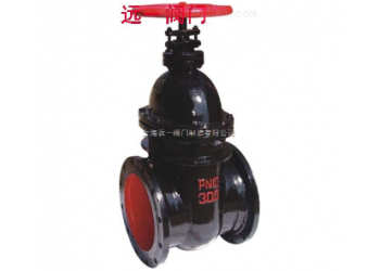 楔式暗桿閘閥Z45T-10/Z45T-16