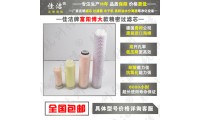 粉塵精濾器濾芯FLF-12/8 FLF-20/8