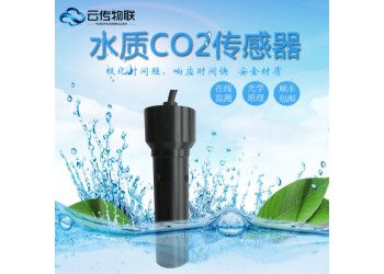 智慧城市水質在線CO2監測傳感器