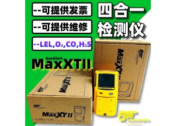 BW MAXXTII T2G 4E8泵吸式多氣體檢測(cè)儀