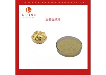 生姜粉 姜ZINGIBER OFFICINALE根提取