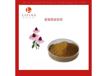 供應(yīng)紫錐菊提取物菊苣酸1% 2%CAS號70831-56-0