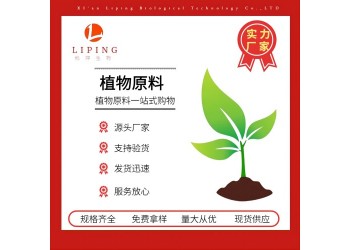 槐花提取物蘆丁槲皮素95%現貨供應