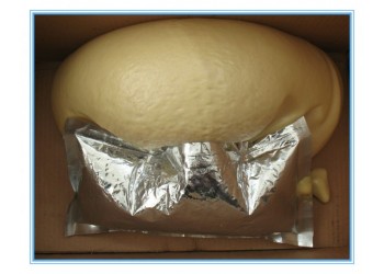 袋裝馬麗散封孔材料沒有套路就是便宜