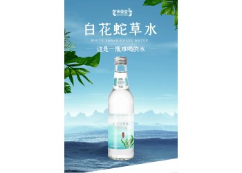 白花蛇草水源頭工廠貼牌代加工 按需定制