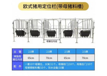 母豬定位欄 懸空式母豬定位欄