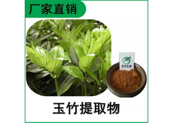 森冉生物 玉竹提取物 玉竹多糖 玉竹參提取物