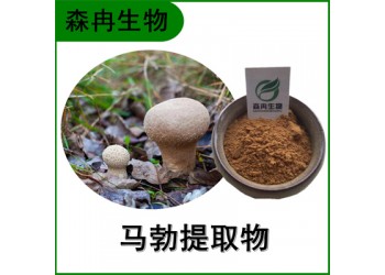 森冉生物 馬勃提取物 牛屎菇提取物 馬勃多糖