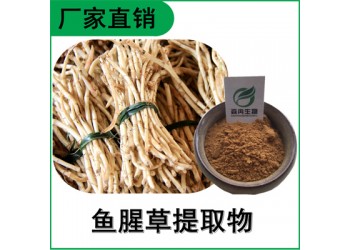 森冉生物 魚(yú)腥草提取物 折耳根提取物 比例提取原料粉