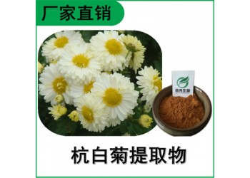 森冉生物 杭白菊提取物 小白菊提取物 比例提取原料粉
