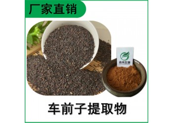 森冉生物 車前子提取物 車前實提取物 比例提取原料粉